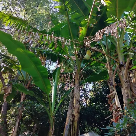 Vatican Low Cost Apartment Rom